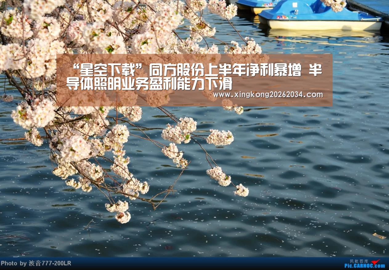 “星空下载”同方股份上半年净利暴增 半导体照明业务盈利能力下滑(图1) 星空下载