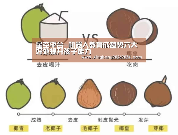 星空平台-机器人教育成趋势六大好处提升孩子能力(图3) 星空平台