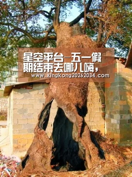 星空平台-五一假期结束去哪儿嗨,赶紧来打卡安徽的网红学校吧!(图2) 星空平台