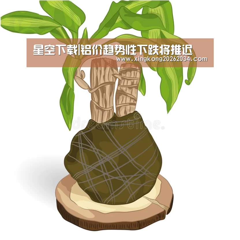 星空下载|铝价趋势性下跌将推迟(图3) 星空视讯
